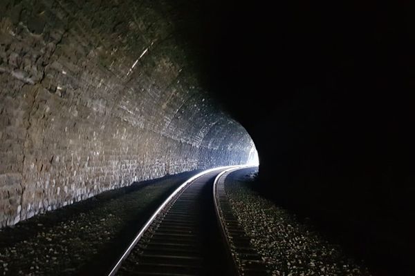 Mozilla CTO: AI bug hunters level the security playing field