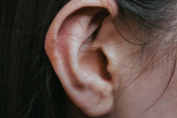 MIT Researchers Uncover How the Brain Isolates Voices in Noisy Environments