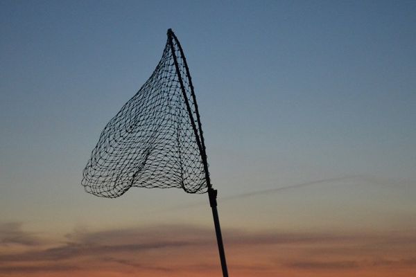 Monzo’s Governed Data Mesh Cuts Costs and Speeds Delivery Across 100 Teams