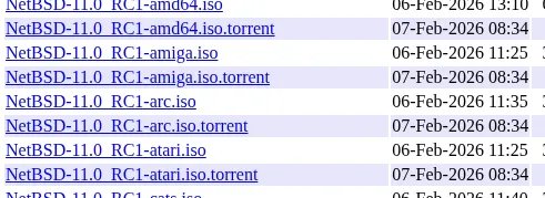 NetBSD 11.0-RC1 Available For Testing With Enhanced Linux Emulation