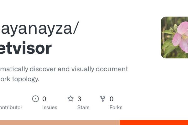 NetVisor Automates Network Topology Discovery with Open Source Visualization