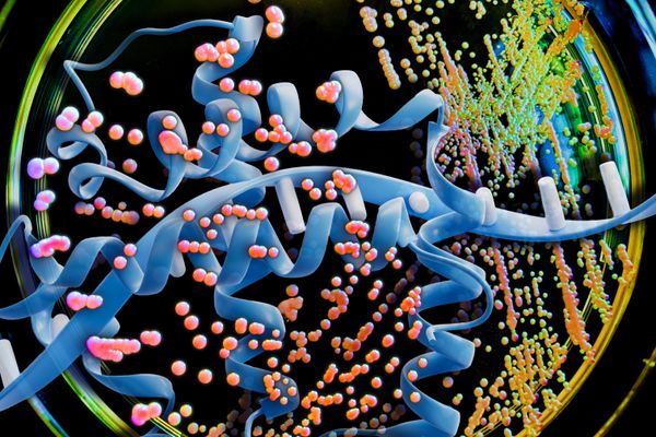 MIT Researchers Use AI to Revolutionize Protein Drug Manufacturing