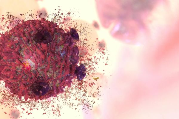 Iron Nanomaterial Delivers Double-Barrel Cancer Attack in Mice