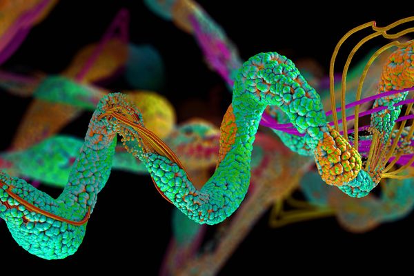 Nvidia, Eli Lilly commit $1B to AI drug discovery lab