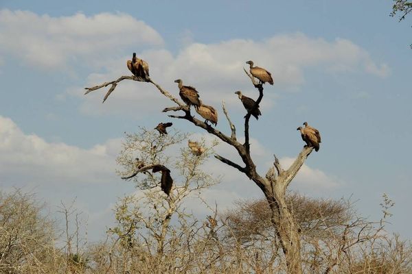 Nvidia GTC 2026: The Agentic AI Revolution Takes Center Stage