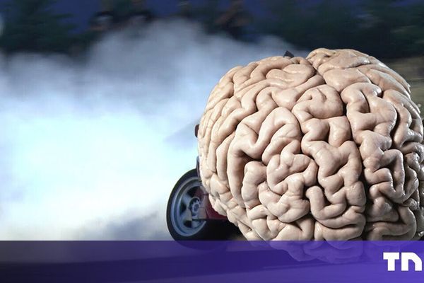 One Neuron, Infinite Power: Berlin Researchers Challenge AI's 'Bigger is Better' Paradigm