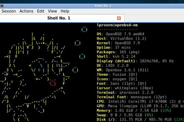 OpenBSD 7.9 Release: Enhanced Security and Performance with New Core Support