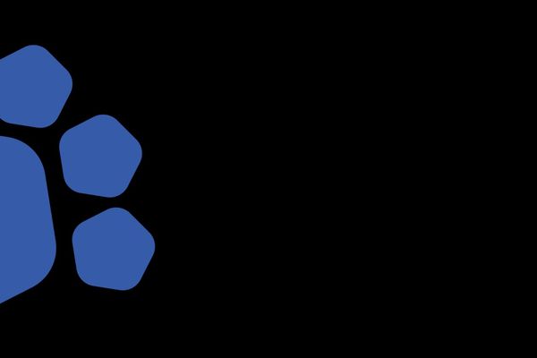 PgDog raises $5.5M to make Postgres scale horizontally without a rewrite