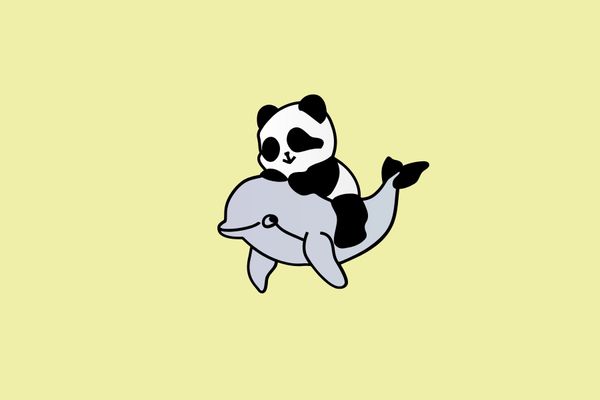 p2panda: Building the Foundation for Local-First, Privacy-Respecting Applications