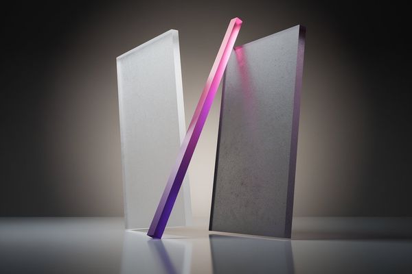 Pakistan's 'Board of Peace' inclusion risks domestic backlash despite US diplomatic gains