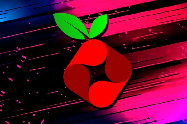 Pi-hole Security Breach Exposes 30,000 Donors via WordPress Plugin Vulnerability