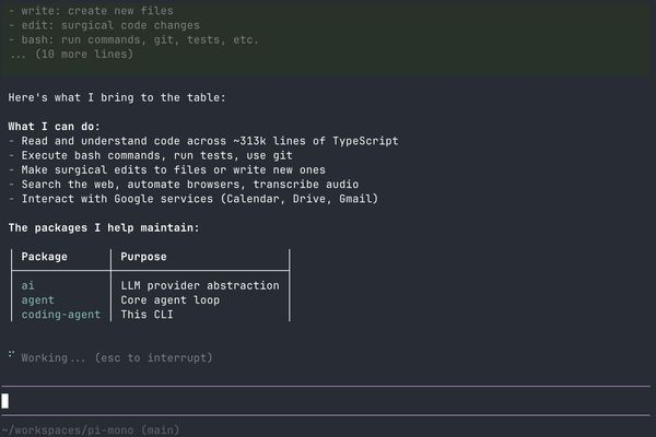 pi.dev: A Minimal Terminal Coding Agent That Adapts to You