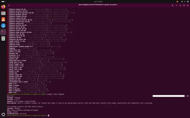 pkgcli on Ubuntu