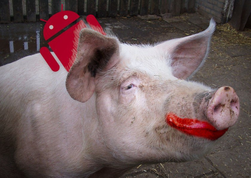 A pig in a sty. It is wearing badly applied lipstick. From behind one hairy ear pokes the Android droid.