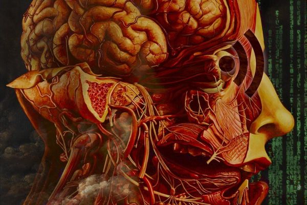 RSS: The Quiet Technology That Could Save the Web From Itself