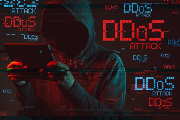 Polish police arrest 20-year-old botnet operator in crackdown on DDoS attacks