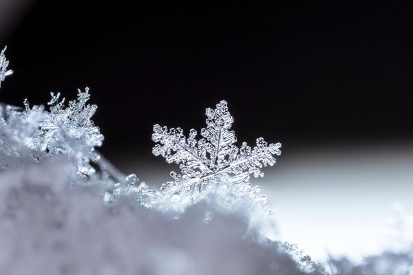 Policy Shifts Stall AI Translation of US Weather Alerts, Endangering Non-English Speakers