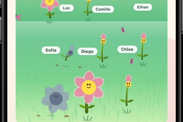 Poppy: The Anti-CRM That Turns Relationships Into Living Gardens