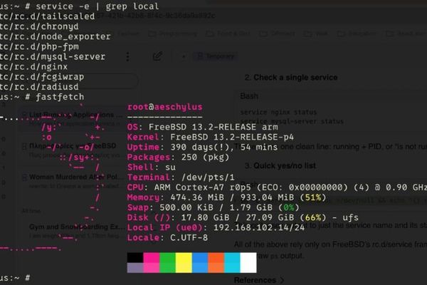 A Raspberry Pi 3 Running FreeBSD as a RADIUS Server: A Practical Experiment in Network Authentication