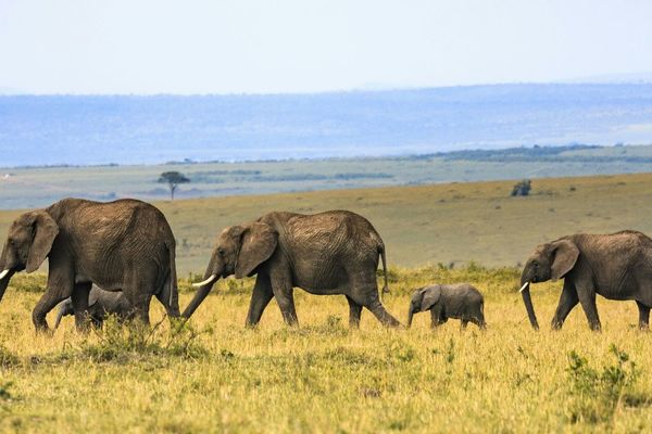 PostgreSQL 19 beta adds SQL graph queries and online table repacking