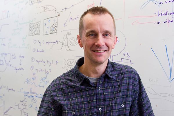 MIT Professor Michael Laub and 21 Alumni Named 2025 AAAS Fellows