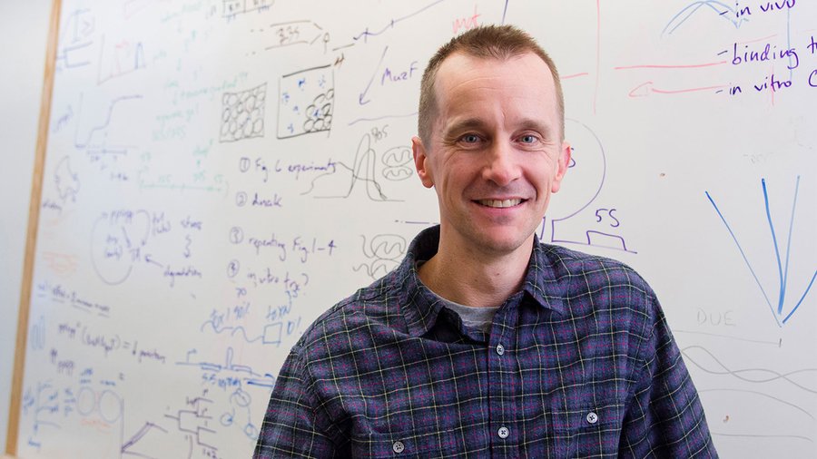Headshot of Michael Laub in front of a whiteboard