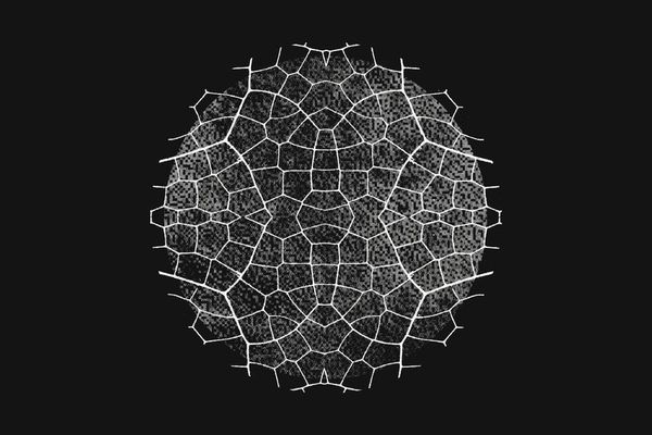 Project Glasswing: An Initial Update