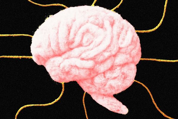 Psychological Persuasion Tricks AI into Breaking Its Own Rules, Study Finds