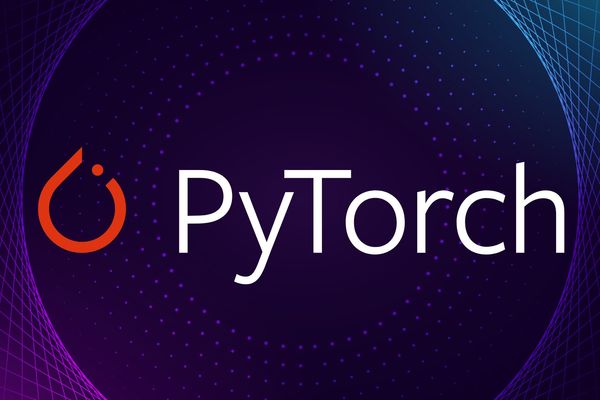 Navigating the PyTorch Ecosystem: A Comprehensive Landscape Analysis