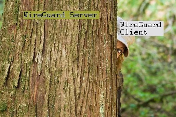 Quantum-Proofing WireGuard: How Tweaked Kyber and Rainbow Signatures Boost VPN Post-Quantum Security