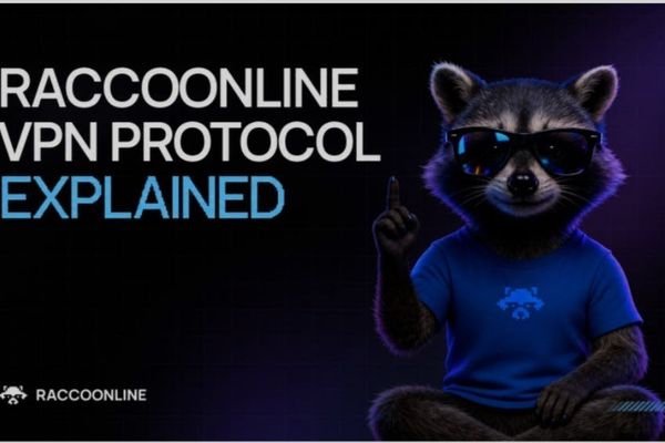 RaccoonLine Explains Its Decentralized VPN Protocol, but Key Business Signals Are Still Missing