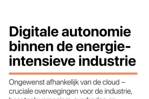 Digital Autonomy in Energy-Intensive Industry: A Critical Analysis