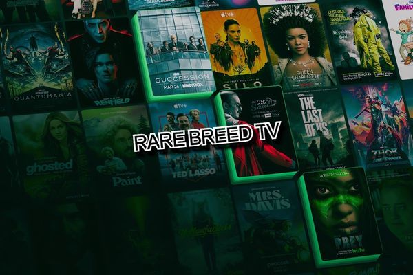 Rare Breed TV Shutdown: ACE Claims Victory in Takedown of 28,000-Channel Piracy Empire