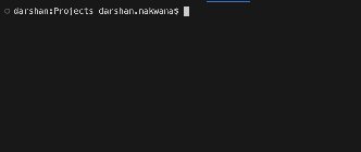 Reinventing the Bash Prompt: From Minimal to Mission‑Critical Developer HUD