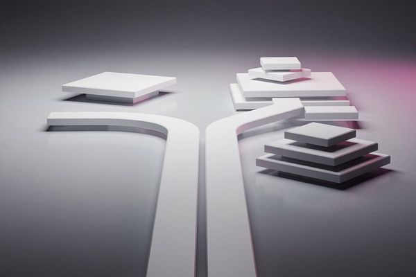 The State of Go in 2025: Satisfaction Amidst Cognitive Dissonance