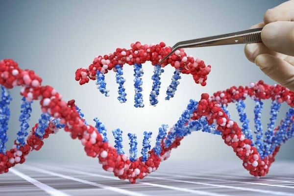 California Attorney General Sues 23andMe’s Successor Over 2023 Genetic Data Breach