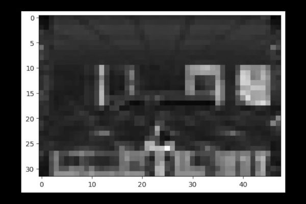 When Biological Systems Meet Digital Classics: The E. coli Doom Experiment