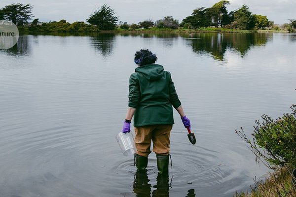 Science Retracts Controversial 'Arsenic Life' Paper After 15-Year Saga, Highlighting Evolution in Research Integrity