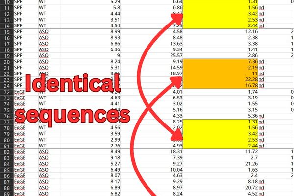 Scientific datasets are riddled with copy-paste errors
