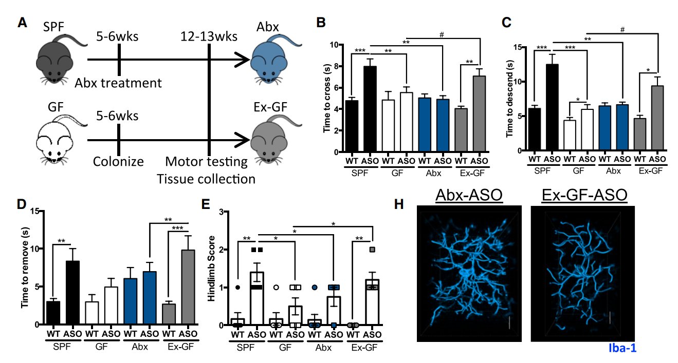 Scientific datasets are riddled with copy-paste errors