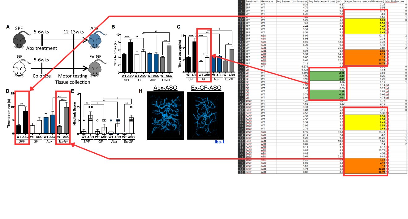Scientific datasets are riddled with copy-paste errors