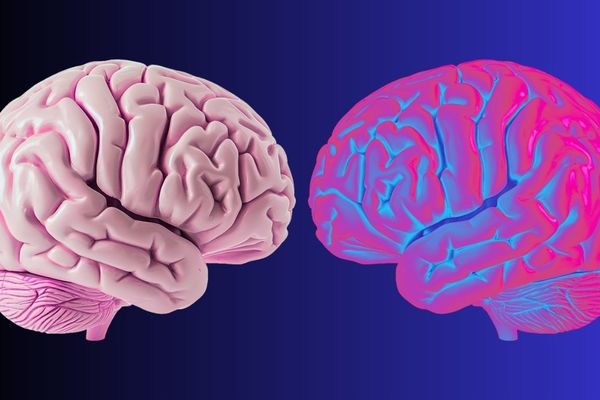 Brain Waves That Draw the Boundary of Self Identified