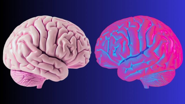 Scientists Identify Brain Waves That Define The Limits of 'You'