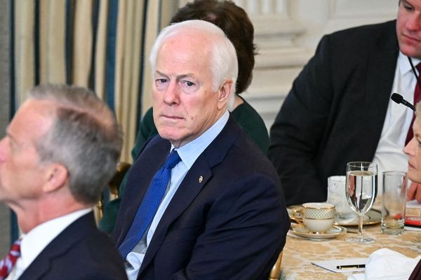 Cornyn's $10M Ad Blitz Signals Surge in Political Digital Ad Spending