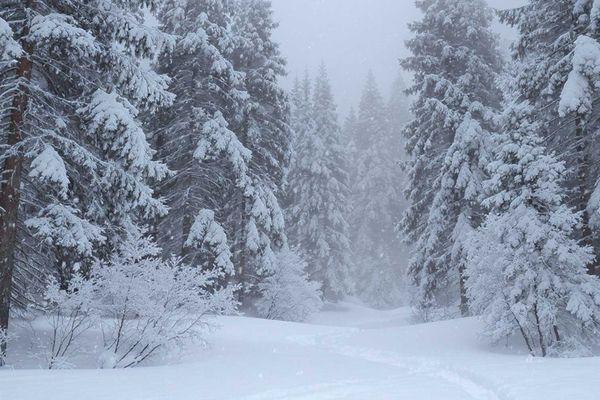 Snowflake's AI Strategy: Bringing Intelligence to Data, Not Data to AI