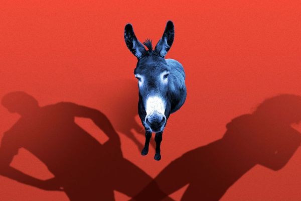 Some Democrats' 2028 Presidential Strategy: A Straight, White, Christian Man