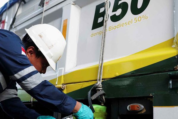 Southeast Asia’s Push for Biofuel Tightens Food Supply and Export Capacity