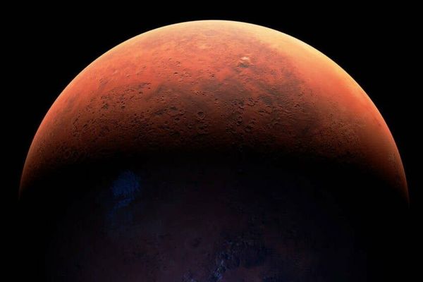 Starship Scrub Highlights Growing Pains of SpaceX’s New Launch Pad and the Business of Private Mars Flights