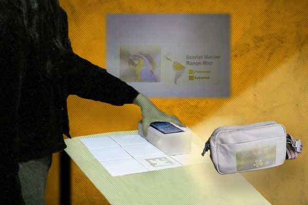 MIT's ChromoLCD Turns Everyday Objects Into Programmable Canvases With High-Res Stamping