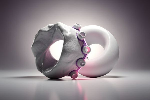 Stop Picking Sides: Managing the Tension Between Adaptation and Optimization